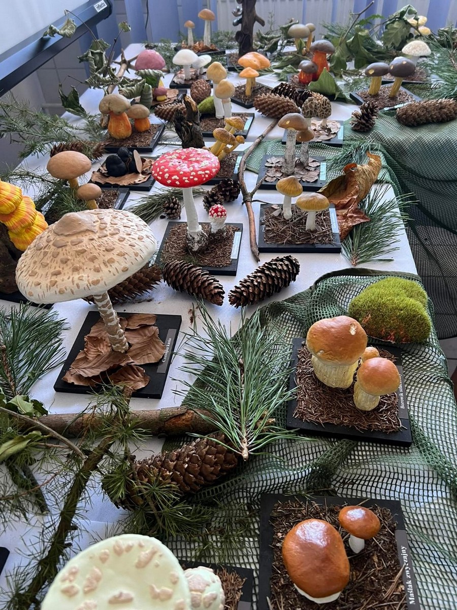 Grzyby jadalne i trujące